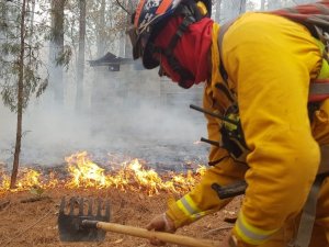 Meksika’da Son 24 Saatte 39 Orman Yangını