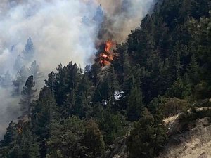 Abd’nin Colorado Eyaletinde Orman Yangını Nedeniyle 19 Bin Kişi Tahliye Edildi