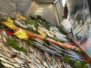 Karadeniz’deki Avcılık Yasağının Fiyatlara Yansıması Bekleniyor