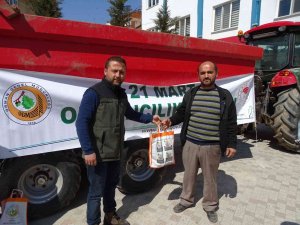 Hisarcık’ta Bin 500 Fidan Dağıtıldı