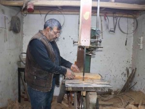 Kayısı Ağacından Sanata Yolculuk