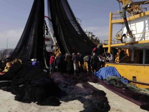 Karadenizli Balıkçılardan Sezon Değerlendirmesi