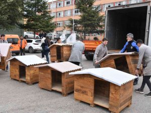 Lise Öğrenciler Can Dostları İçin Atıl Ürünlerden Köpek Kulübeleri Yaptı