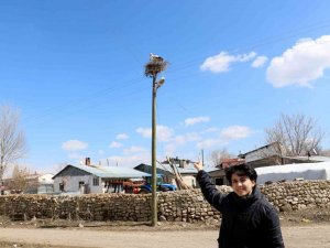 Asırlık Misafirler Yine Geldi, Bir Aile Caminin Diğeri Kilisenin Çatısına Kondu