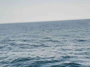 İ̇ğneada Açıklarında Bulunan Mayın Etkisiz Hale Getirildi
