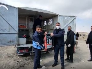 Sokak Hayvanları İçin Mama Ve Su Bırakıldı