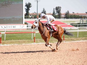 Çgc Koşusunu "Bebesha" Kazandı