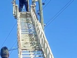 Elektrik Direğinde Mahsur Kalan Kedi Kurtarıldı