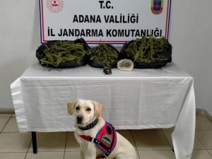 Adana’da Uyuşturucu Operasyonu: 1 Gözaltı
