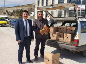 Hayvan Sevgisi Karşılıksız Kalmadı
