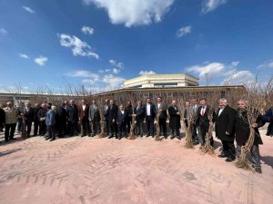 Çorum’da Süne İle Mücadele Çerçevesinde 7 Bin 300 Dut Fidanı Dağıtıldı