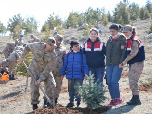 Jandarma Öğrencilerle Birlikte Ağaç Dikti