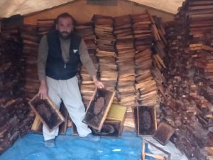 Adana’da 500 Kovandaki Binlerce Arı Telef Oldu