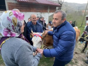 Heyelanda Hayvanlarını Kaybeden Aileye Vali Sonel’den Yeni Hayvan Desteği