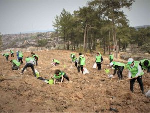 Milas’ta Binlerce Fidan Toprakla Buluştu