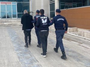 Firari 7 Hükümlü Jandarma Dedektifleri Tarafından Yakalandı