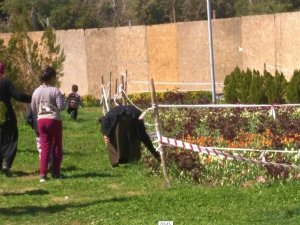 Şanlıurfa’da Laleleri Koparan Kadın Kameralara Yakalandı
