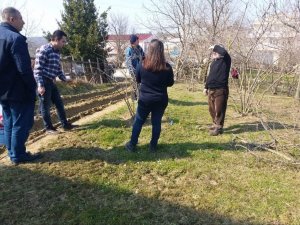 Çiftçilere Tarlada Fındık Budama Ve Gübreleme Eğitimi