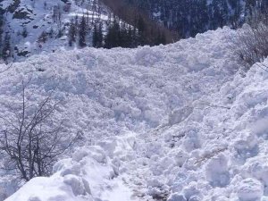 Artvin’de Çığ Köy Yolunu Ulaşıma Kapattı