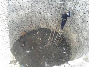 İ̇ki Gündür Kuyuda Can Çekişti, İmdadına İtfaiye Yetişti