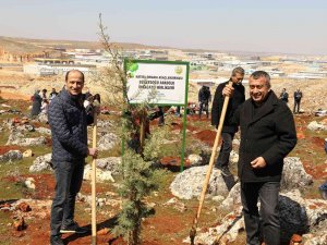 Gai̇b Adına Hatıra Ormanı Kuruldu