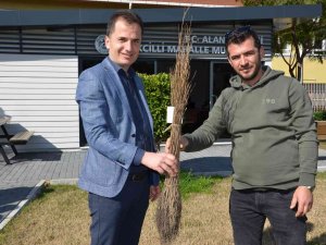 Alanya’da 140 Bin Meyve Fidanı Dağıtıldı