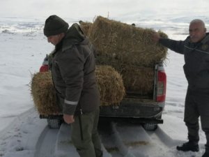 Elazığ’da Yaban Hayvanları İçin Doğaya Yem Bırakıldı