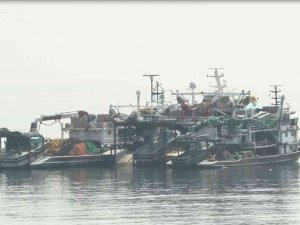 Mayın Endişesiyle Balık Fiyatları Fırladı