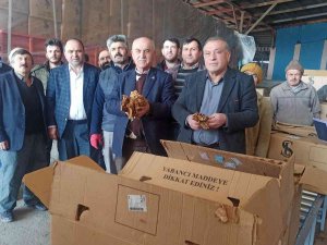 Bafra’da Tütün Alımları Başladı