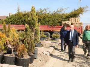 Başkan Çolakbayrakdar: "Yeşillendirme Çalışmalarıyla Şehrimizi Daha Da Güzelleştireceğiz"