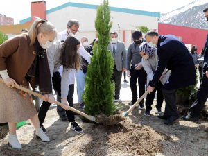 Gümüşhane Lisesinin Bahçesine 16 Selvi Ağacı Dikildi
