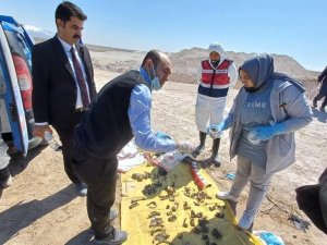16 Yıl Önce Kayıp İhbarı Yapılan Kadının Parçalanmış Cesedi Su Kuyusunda Bulundu