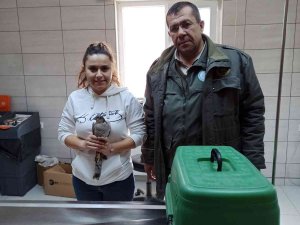 Yarılı Halde Bulunan Leylek Ve Atmaca Tedavi Altına Alındı