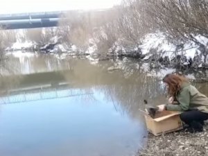 Kars’ta Sakarmeke’nin Tedavisi Tamamlandı