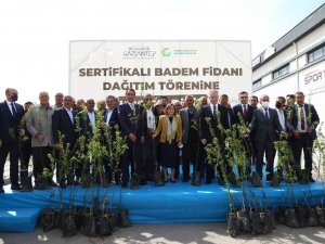 Yavuzeli Çiftçisine 20 Bin Badem Fidanı Dağıtıldı