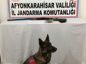 Jandarmanın Operasyonunda Uyuşturucu Madde Ve Tarihi Eser Ele Geçirildi