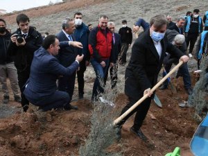 Adalet Ormanı’nda 7 Bin 500 Fidan Toprakla Buluşturuldu