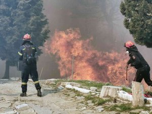 Sisam Adası’nda Büyük Orman Yangını