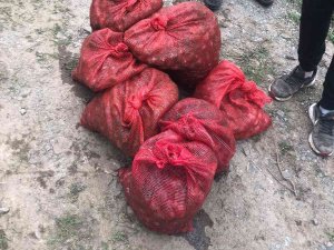 Yasak Midye Avcılarına ‘Kurbağa Adam’ Şoku
