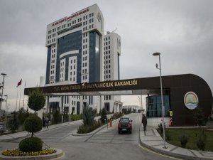 Orman Genel Müdürlüğü 1.500 Orman Muhafaza Memuru alıyor