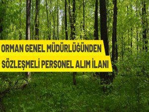 Orman Genel Müdürlüğü 283 Orman Mühendisi ve 50 Orman Endüstri Mühendisi Alacak