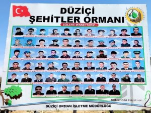 Osmaniye’de "Şehitler Ormanı" Oluşturuldu