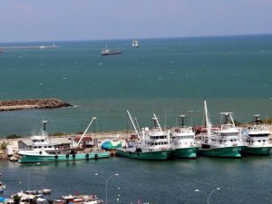 Mayın Sıkıntısı Yaşamayan Samsun’da Balıkçılar Çaça Avına Başladı