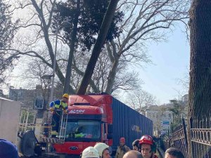 Sarıyer’de Dar Yolda Manevra Yapmaya Çalışan Tır Ağaca Çarptı