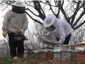 Şanlıurfa Bal Ve Badem Üretiminde Çıtayı Yükseltti