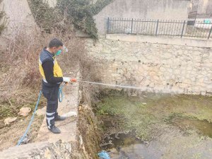 Kastamonu’da Haşere İle Mücadele Çalışmalarını Sürdürüyor