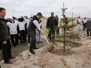 Çorum’da 70 Milyon 500 Bin Fidan Toprakla Buluştu