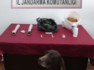 Uyuşturucu Ticareti Yapan Şahıs Tutuklandı