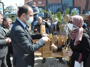 Biga’da Ücretsiz Fidan Dağıtıldı