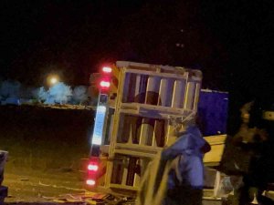Arı Kovanı Yüklü Pikap Takla Attı, Arılar Yola Saçıldı